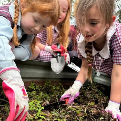 Three Kinder students adding plants to the garden,